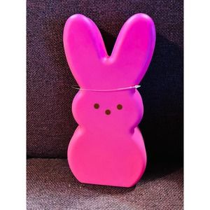 Peeps Pink Light up mold